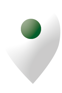 Pin mappa